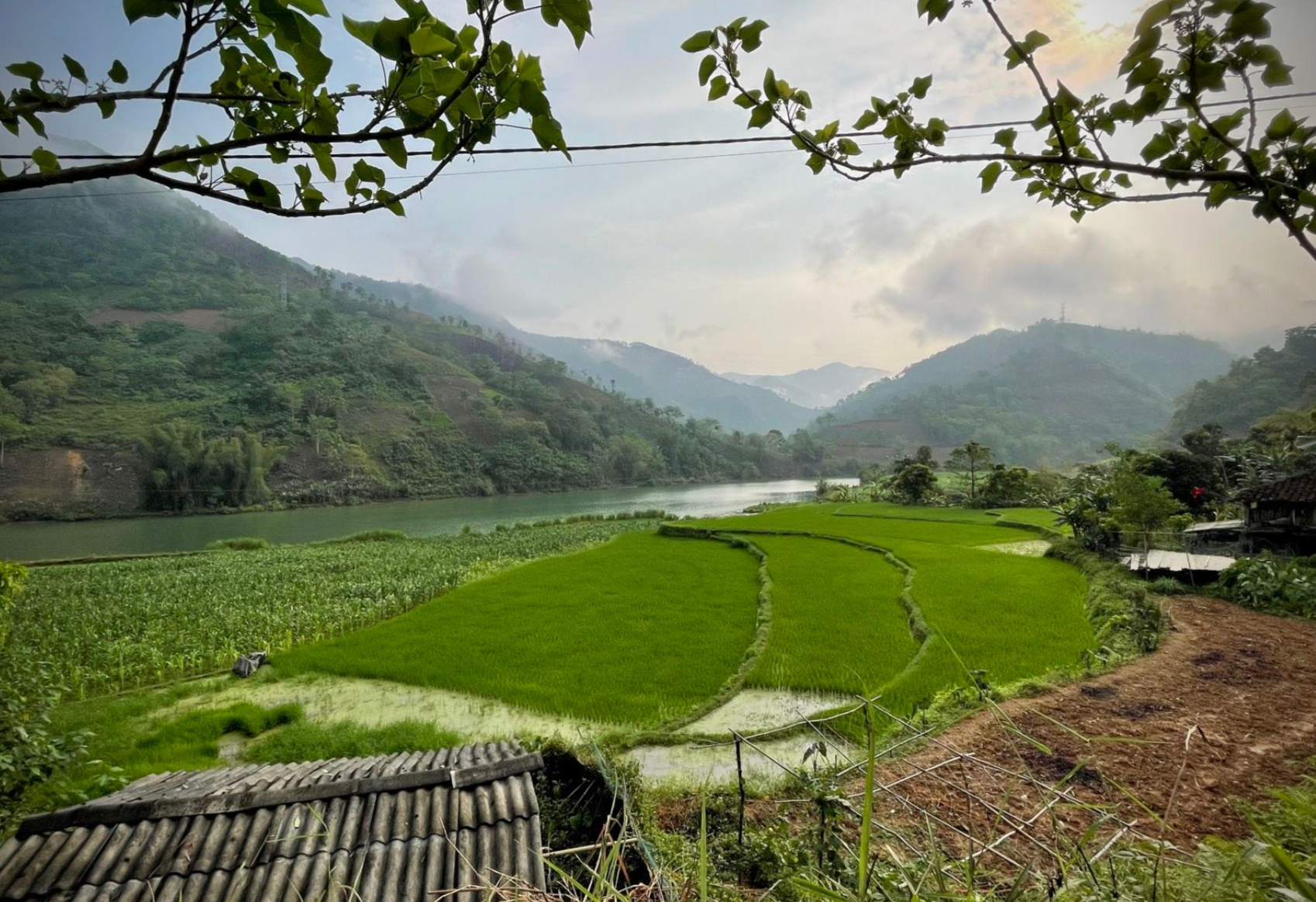 Abenteuer Radreise Vietnam: Der ultimative Guide durch die ungezähmte Wildnis